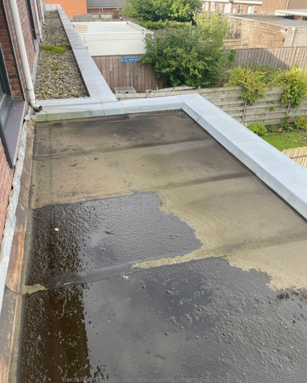 Dakinspectie Platte Daken Nijverdal