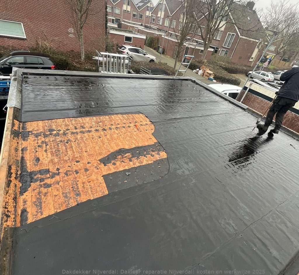Dakleer Reparatie Nijverdal