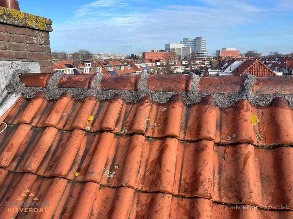 Nijverdal Daken Renoveren