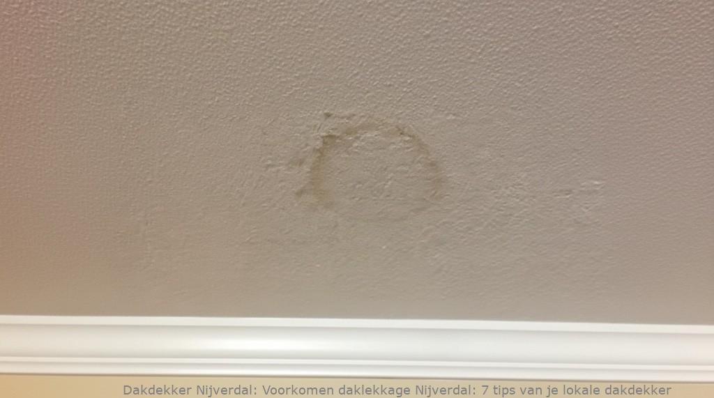 Voorkomen Daklekkage Nijverdal