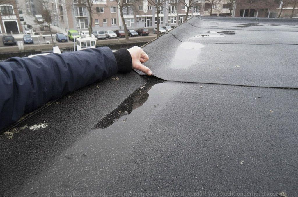 Voorkomen Daklekkages Nijverdal